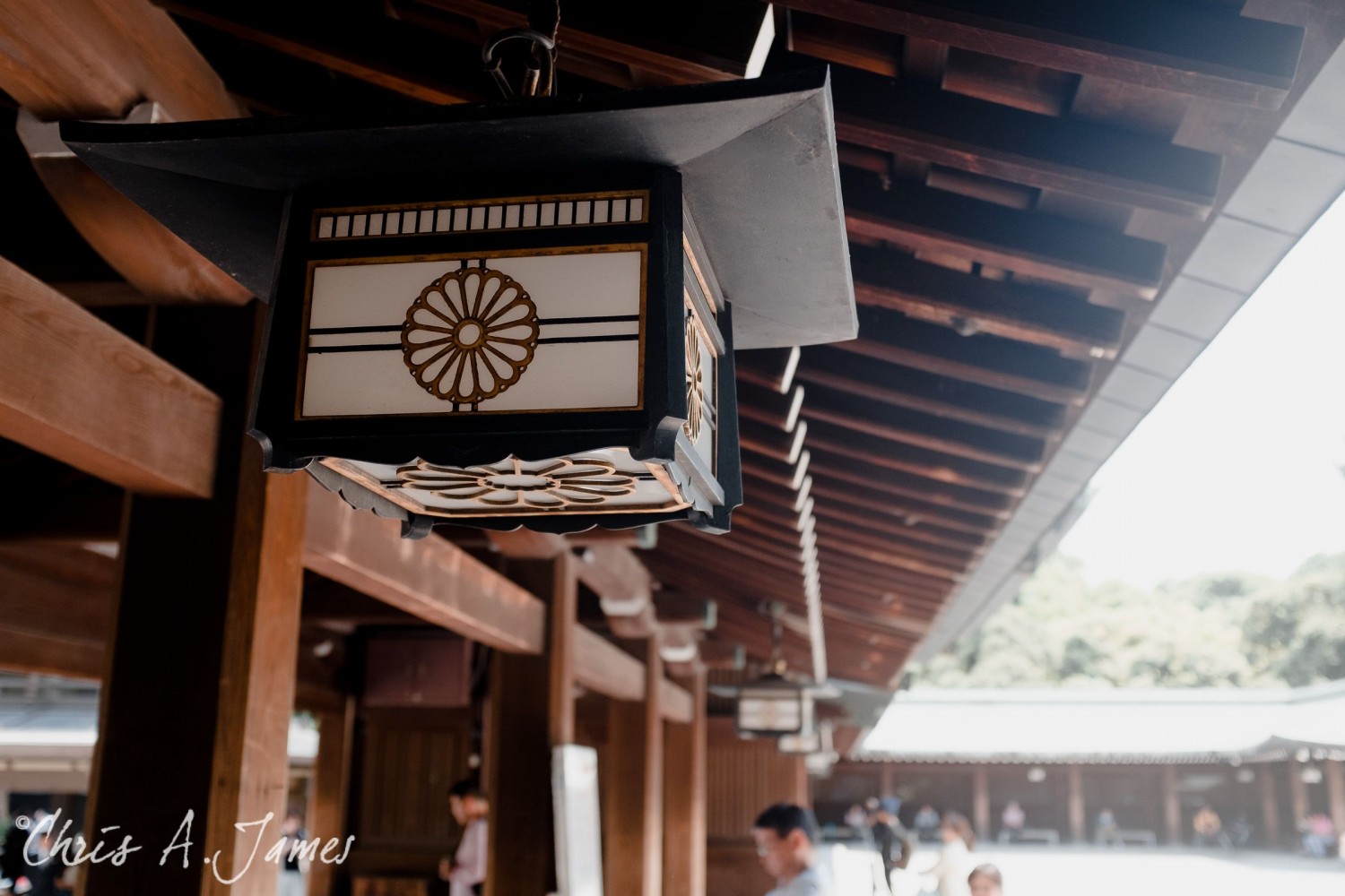 Tokyo - Day 1 - Chris A James