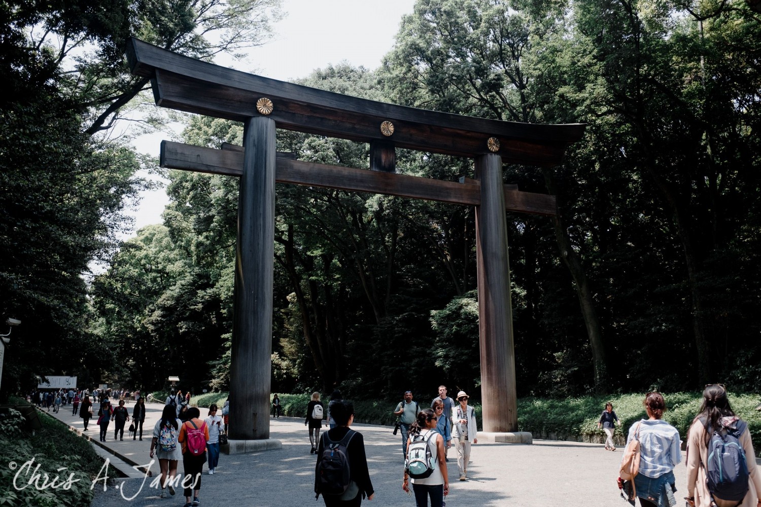 Tokyo - Day 1 - Chris A James