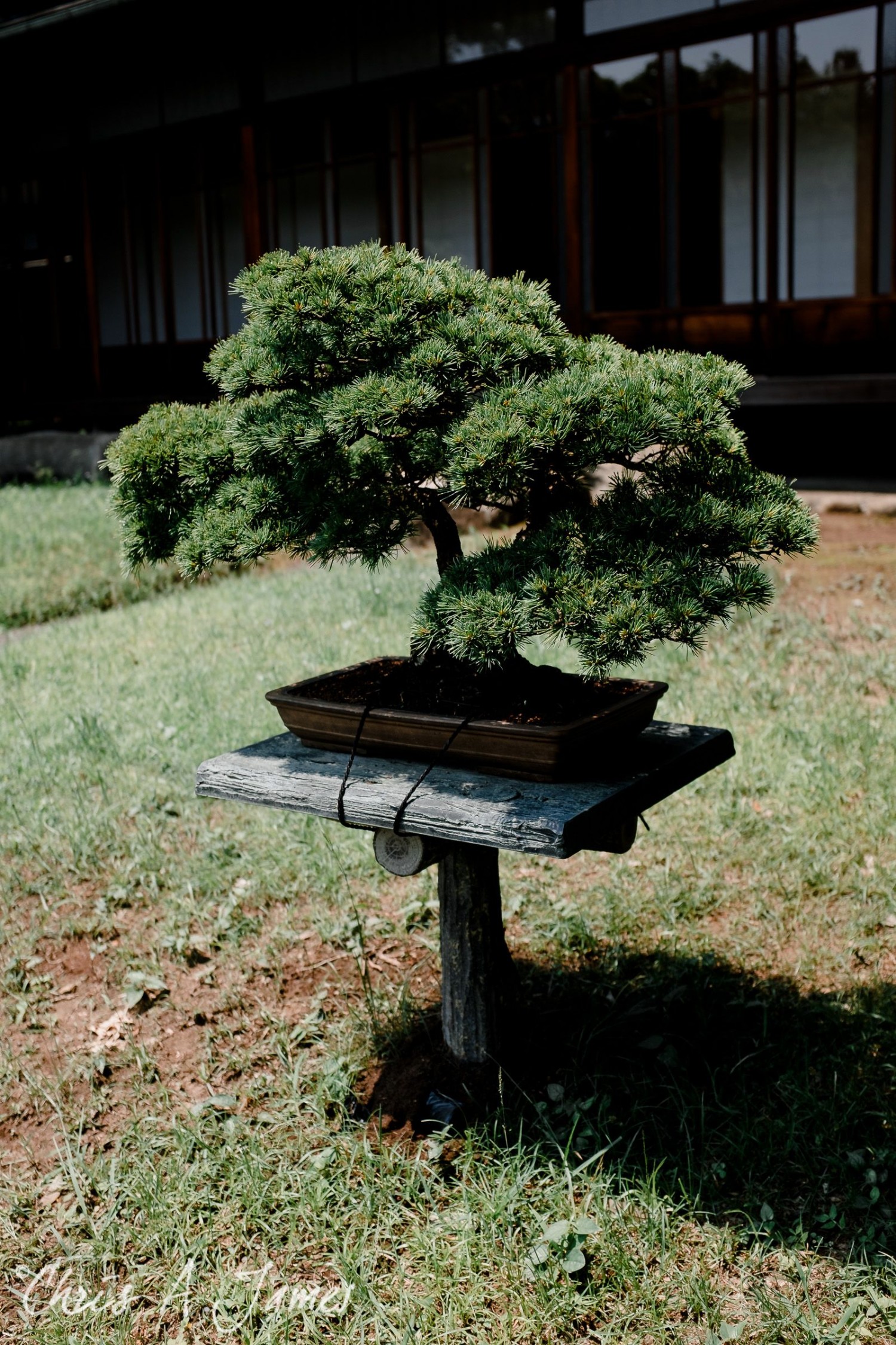 Tokyo - Day 1 - Chris A James