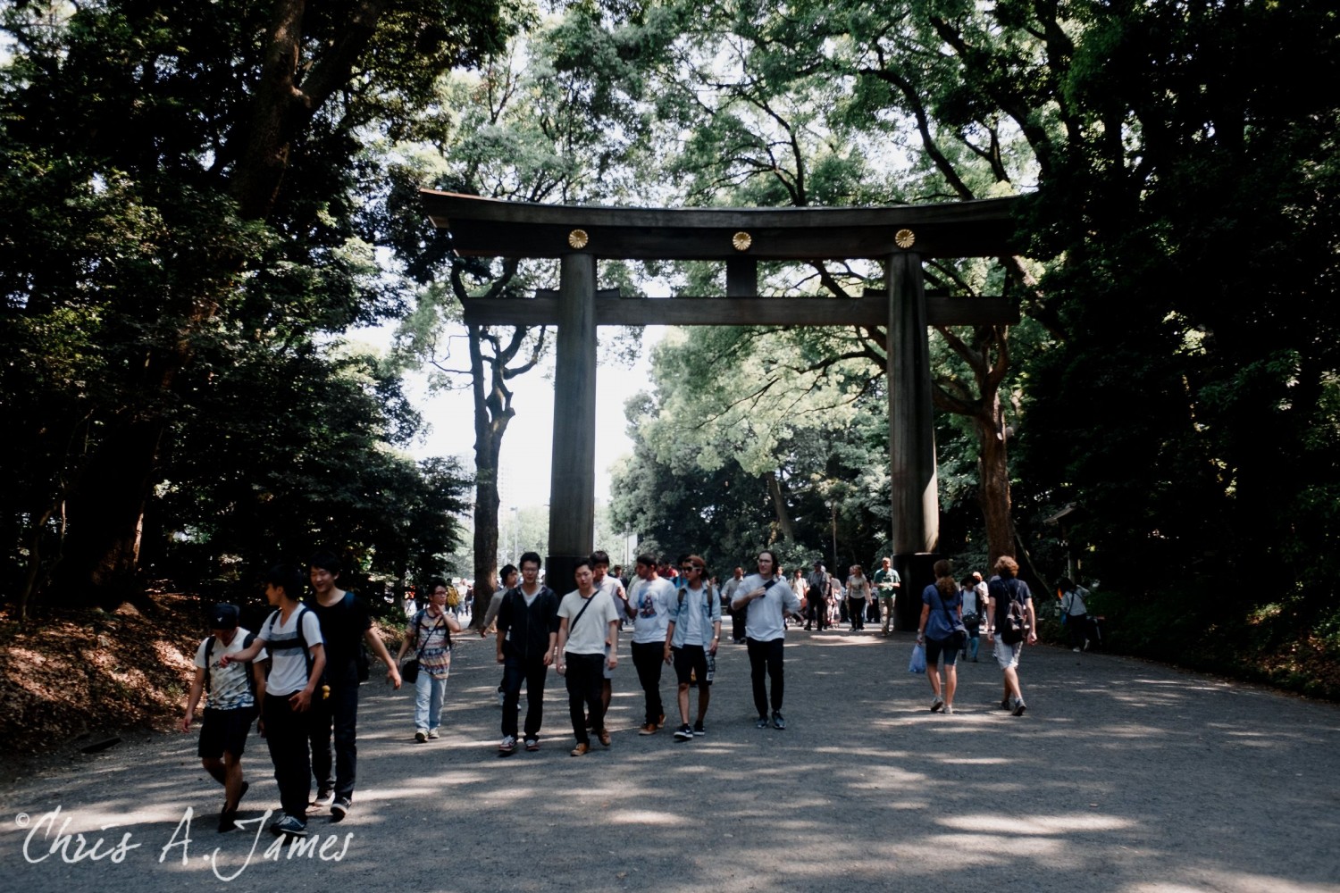 Tokyo - Day 1 - Chris A James