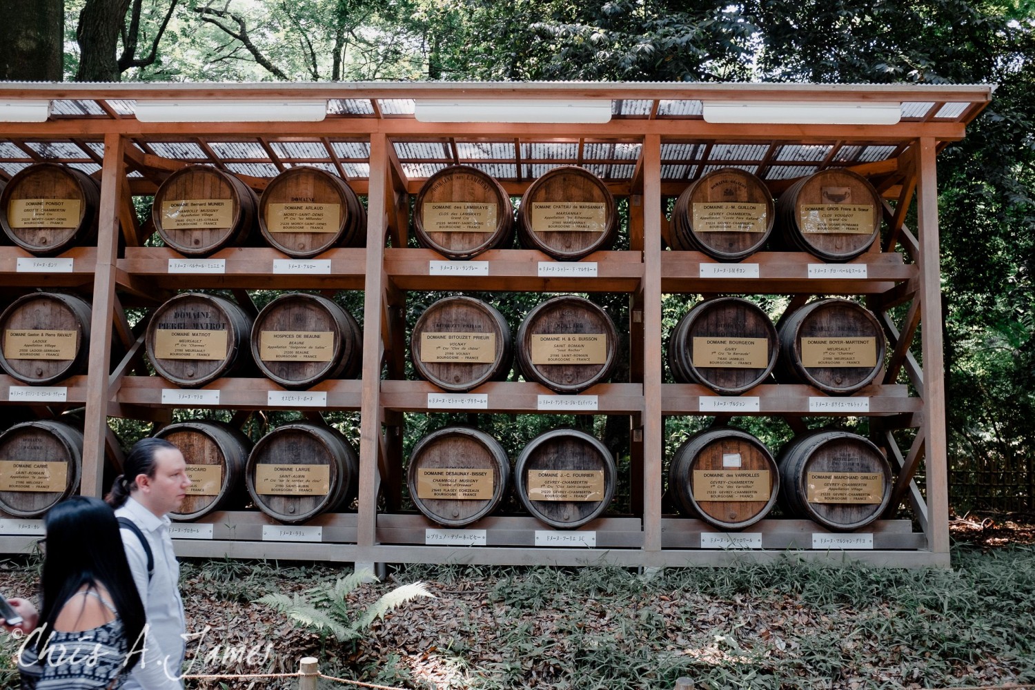 Tokyo - Day 1 - Chris A James