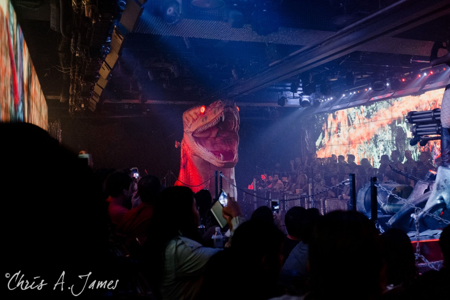 Tokyo - Day 1 - Chris A James