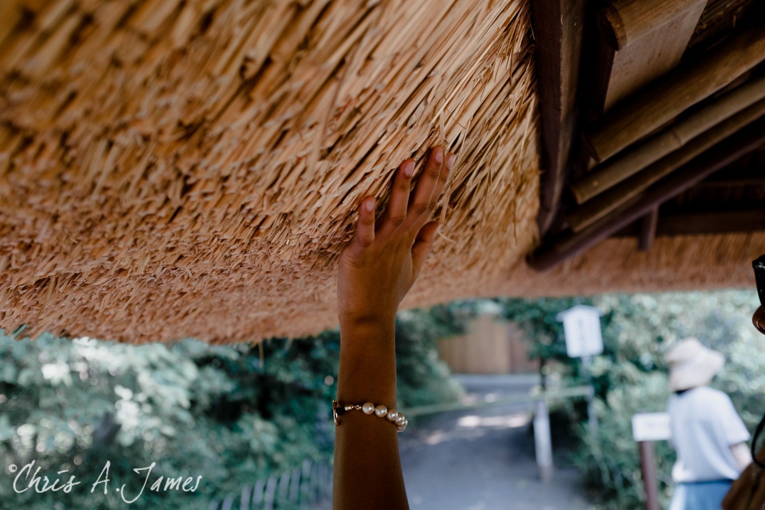 Tokyo - Day 1 - Chris A James