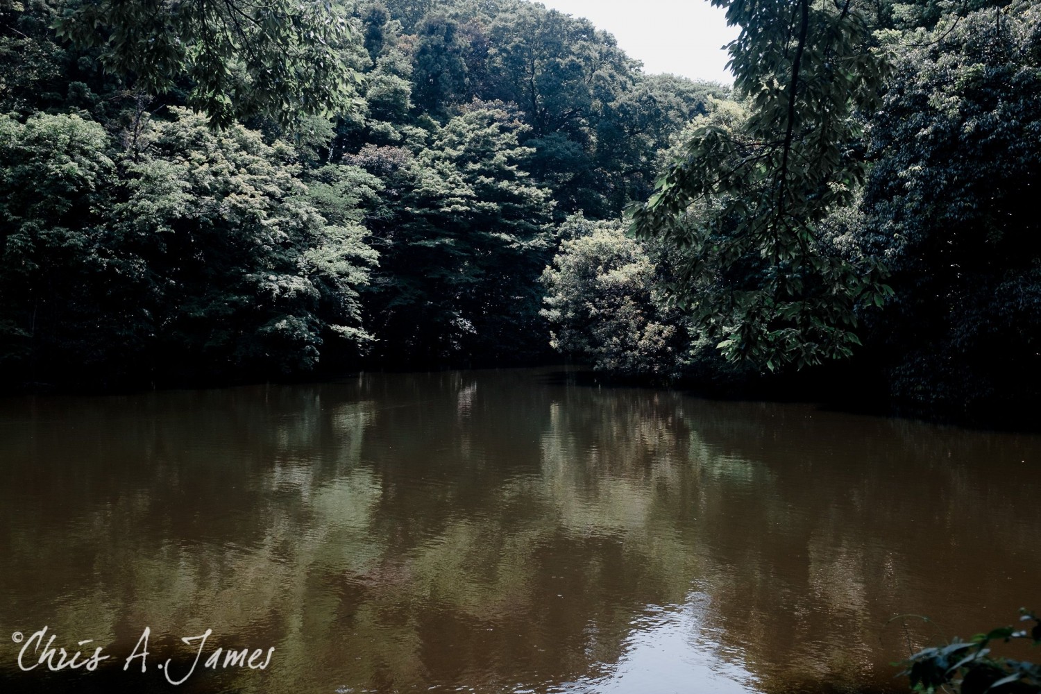 Tokyo - Day 1 - Chris A James
