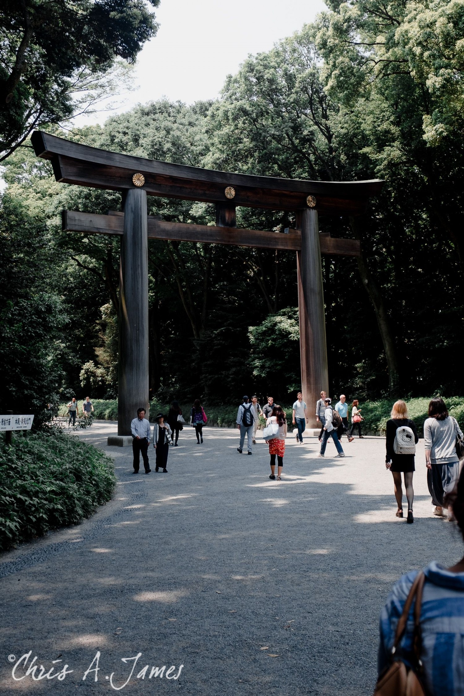 Tokyo - Day 1 - Chris A James