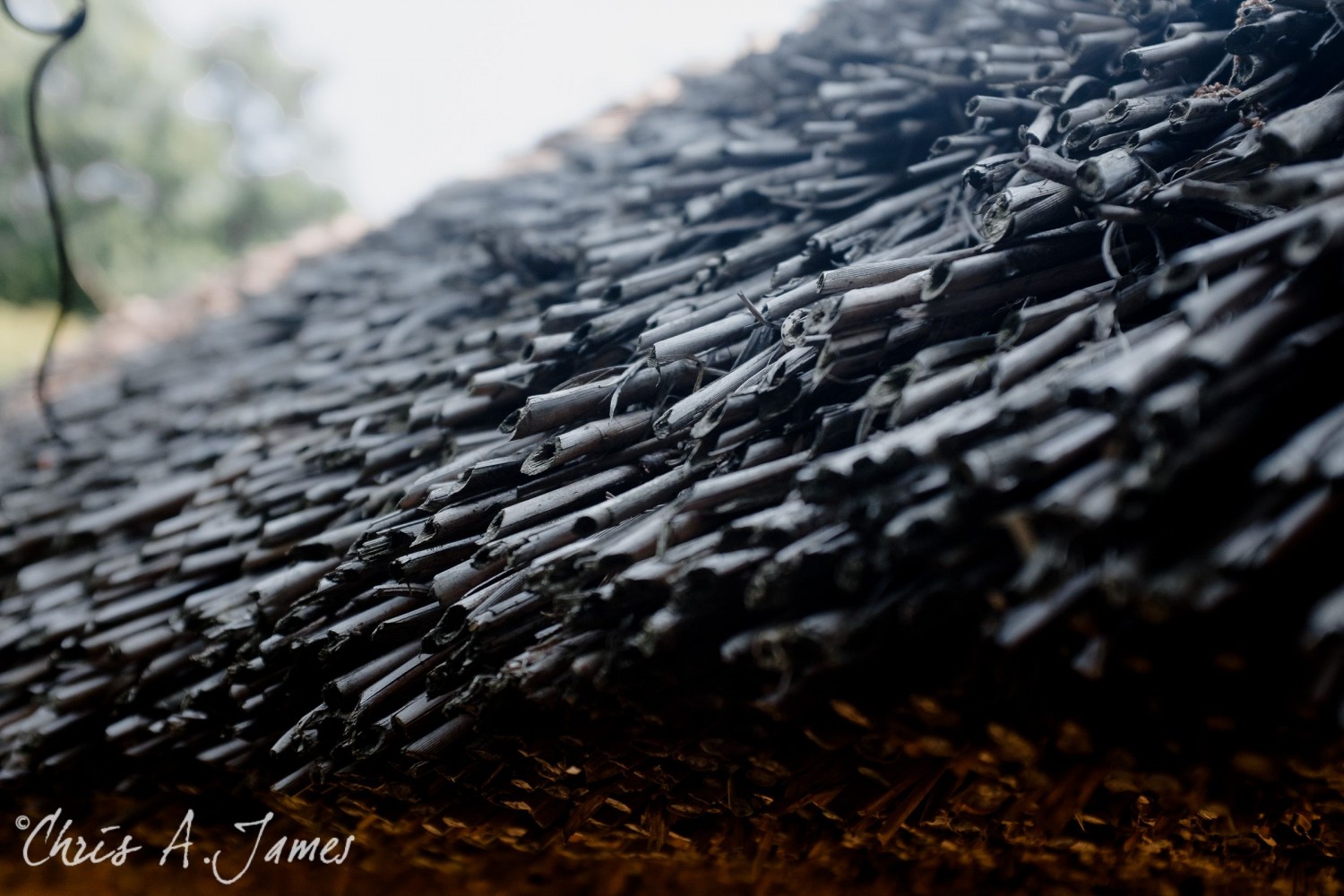 Tokyo - Day 1 - Chris A James