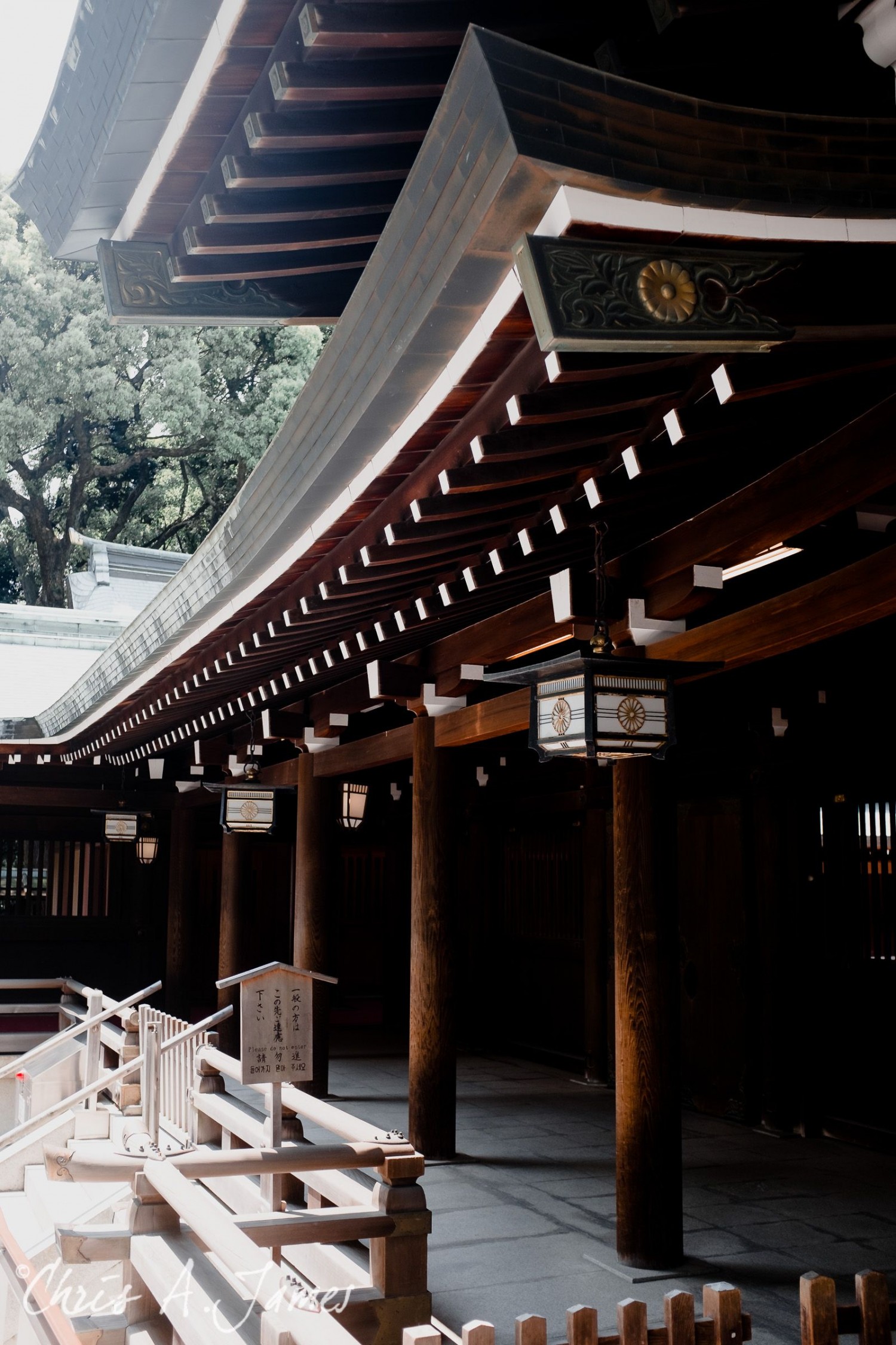 Tokyo - Day 1 - Chris A James