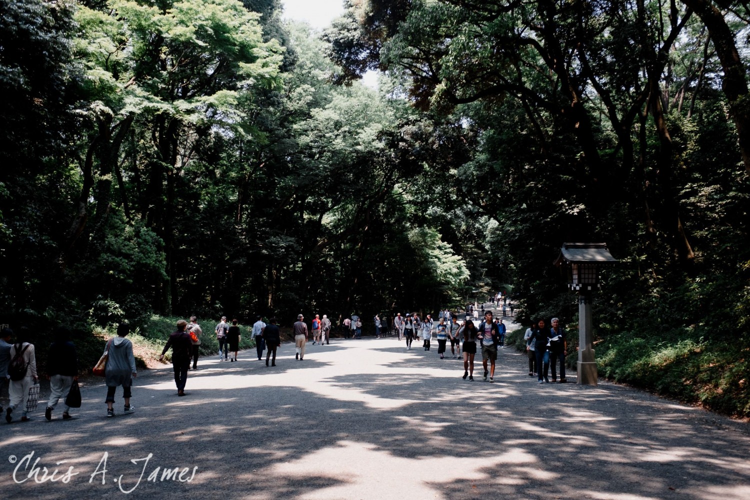 Tokyo - Day 1 - Chris A James