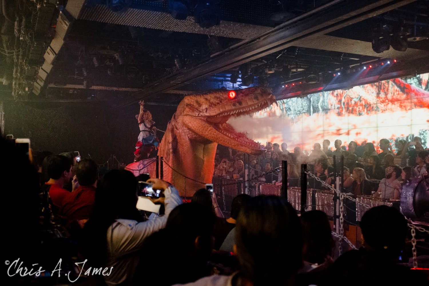 Tokyo - Day 1 - Chris A James