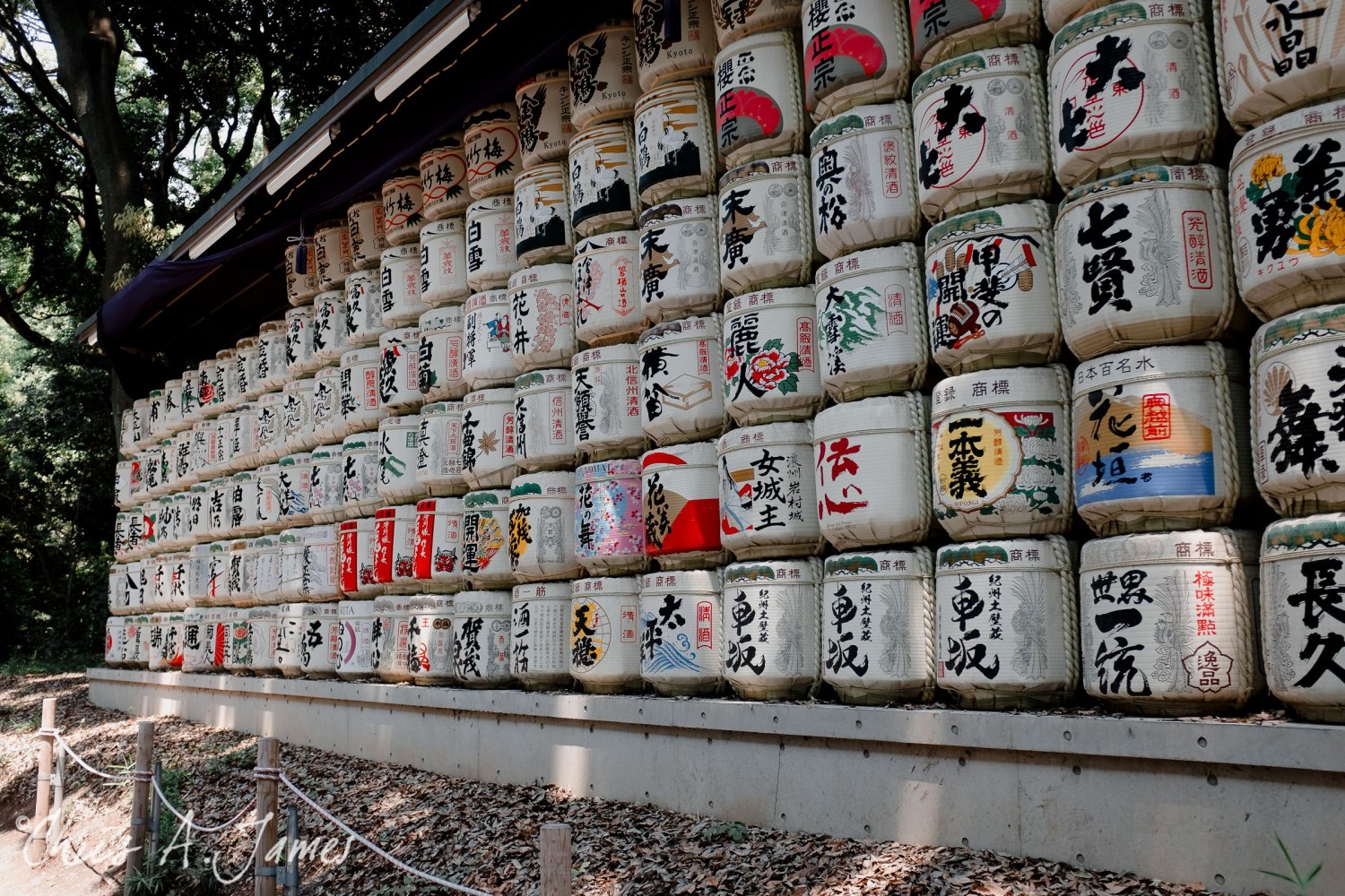Tokyo - Day 1 - Chris A James