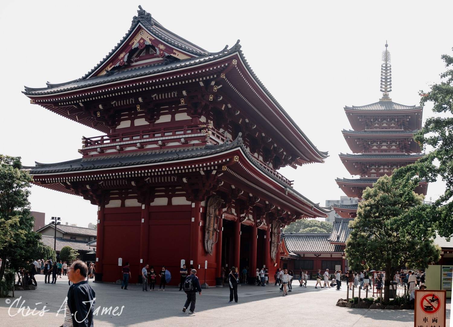Tokyo - Day 3 - Chris A James