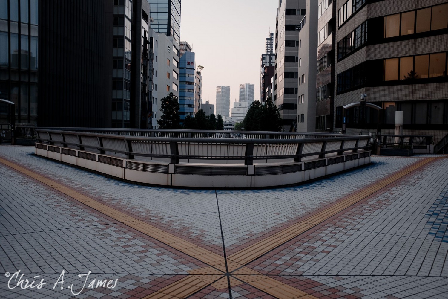Tokyo - Day 3 - Chris A James