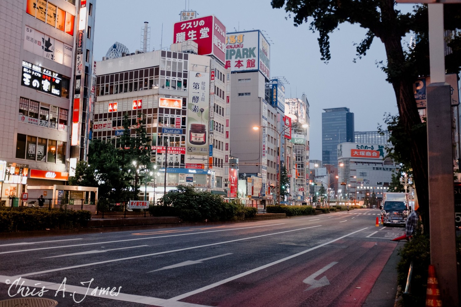 Tokyo - Day 3 - Chris A James
