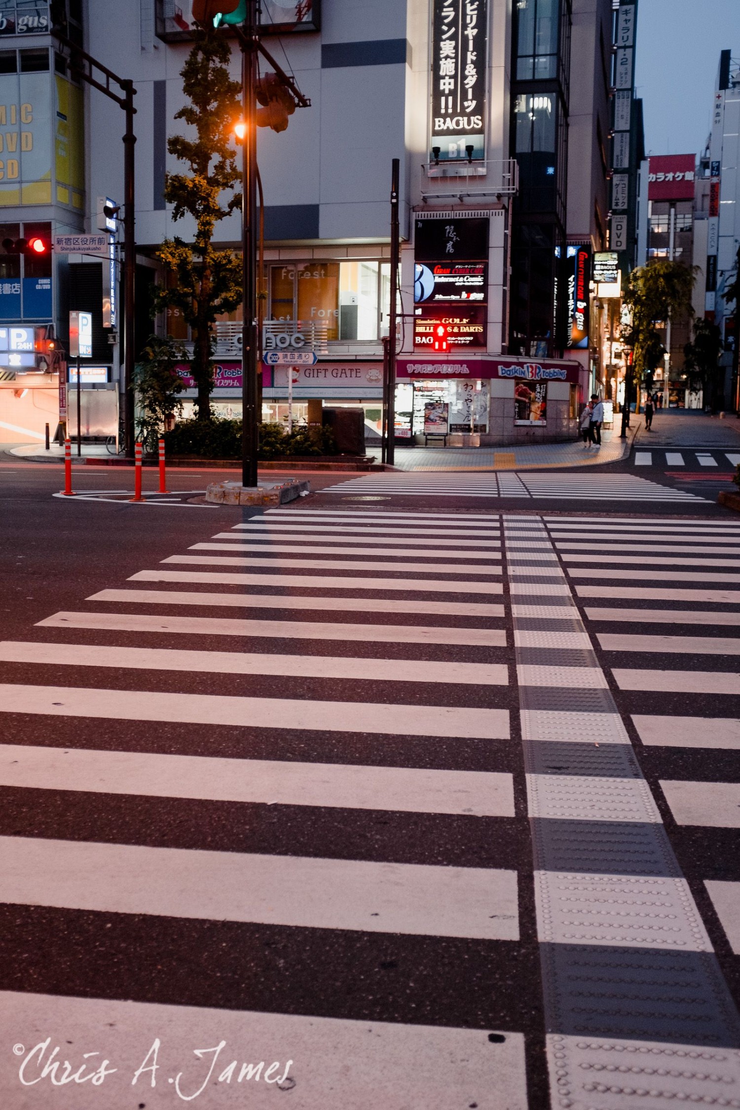 Tokyo - Day 3 - Chris A James