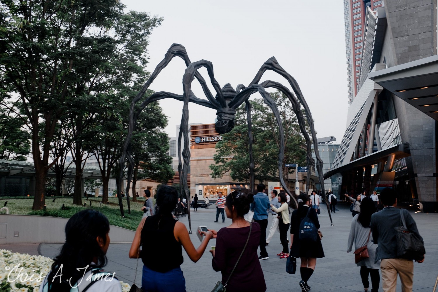 Tokyo - Day 3 - Chris A James
