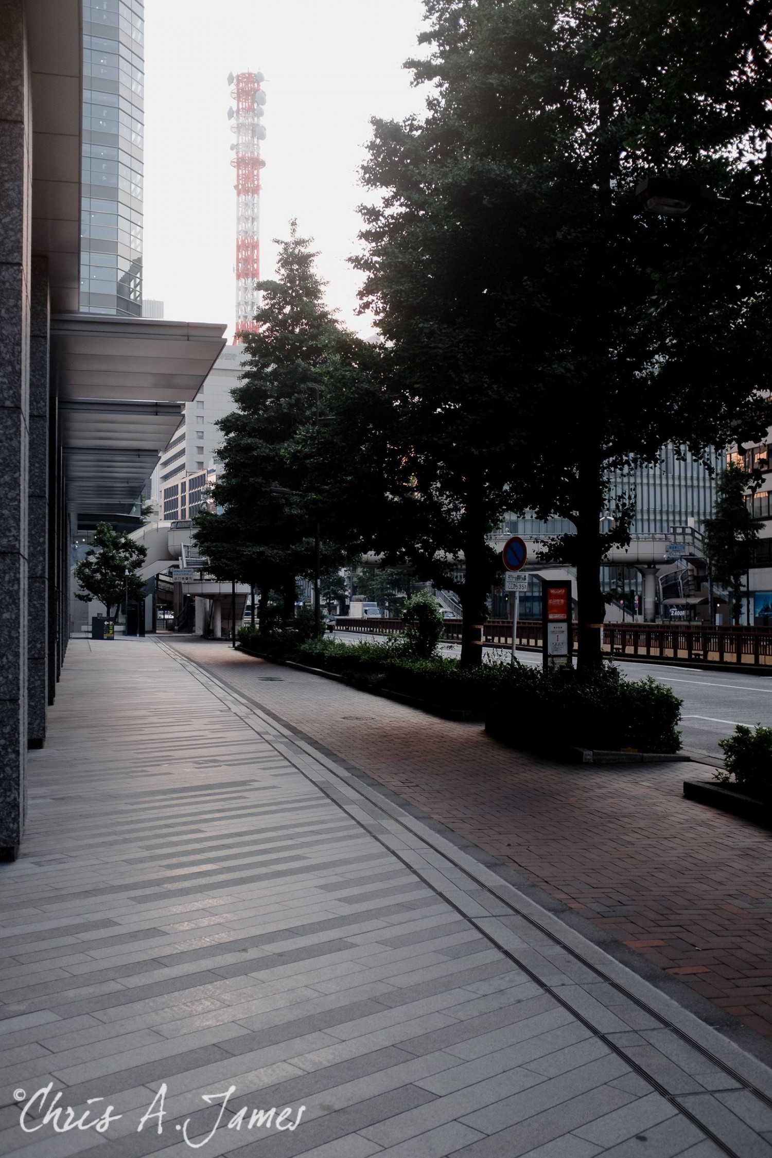 Tokyo - Day 3 - Chris A James