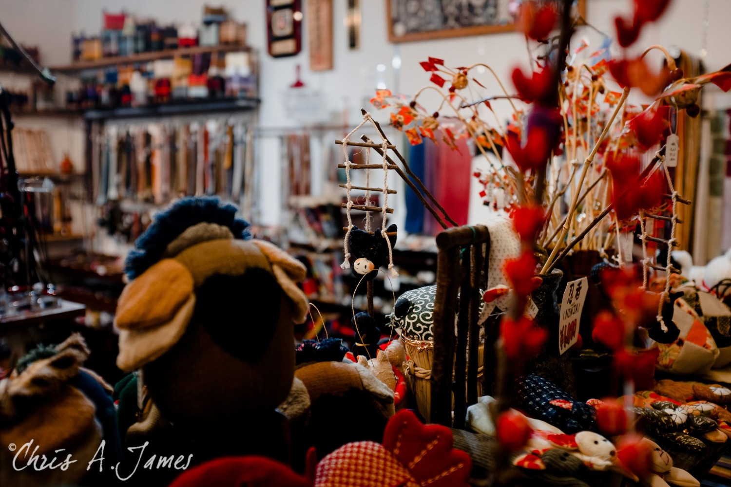 Tokyo - Day 3 - Chris A James