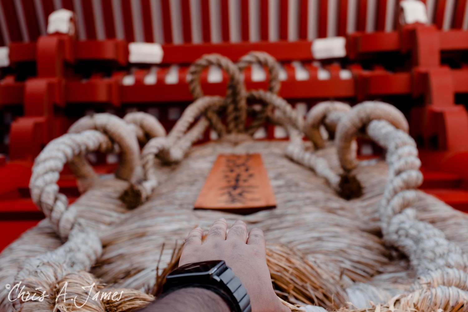 Tokyo - Day 3 - Chris A James