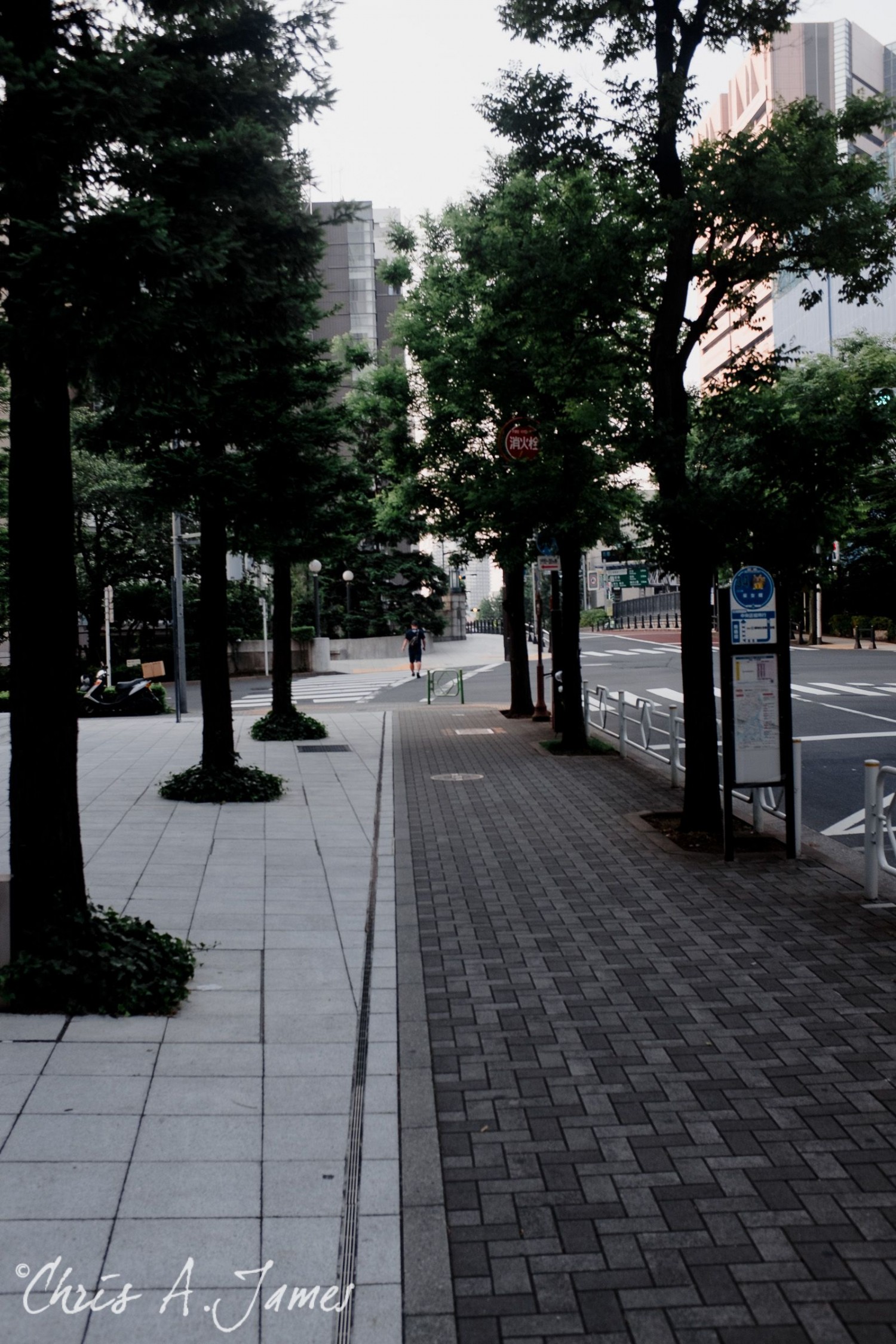 Tokyo - Day 3 - Chris A James