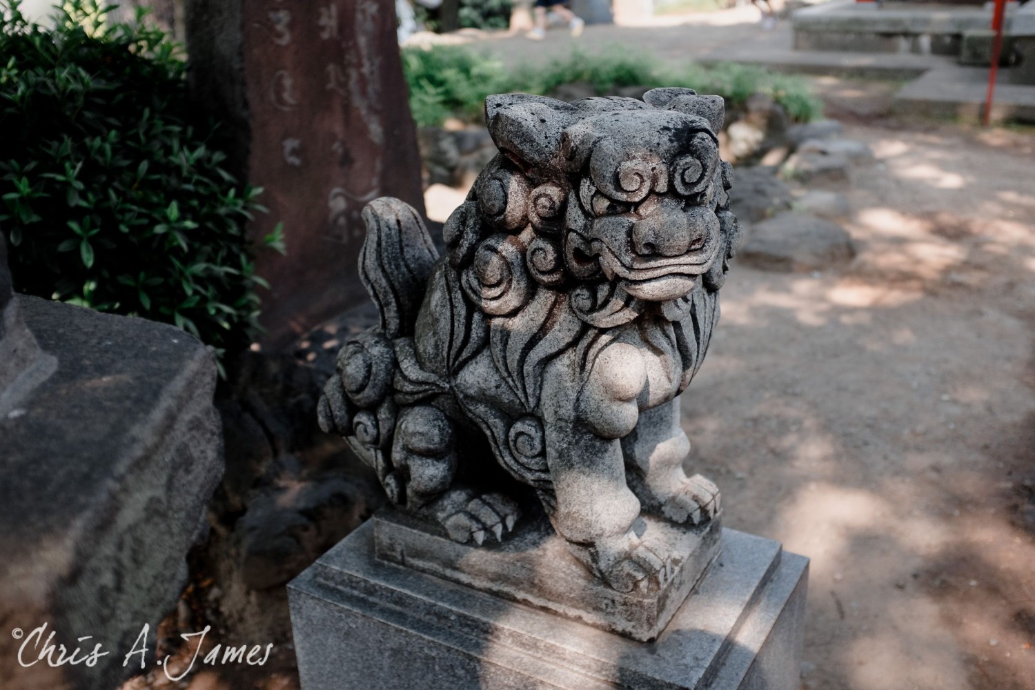 Tokyo - Day 3 - Chris A James