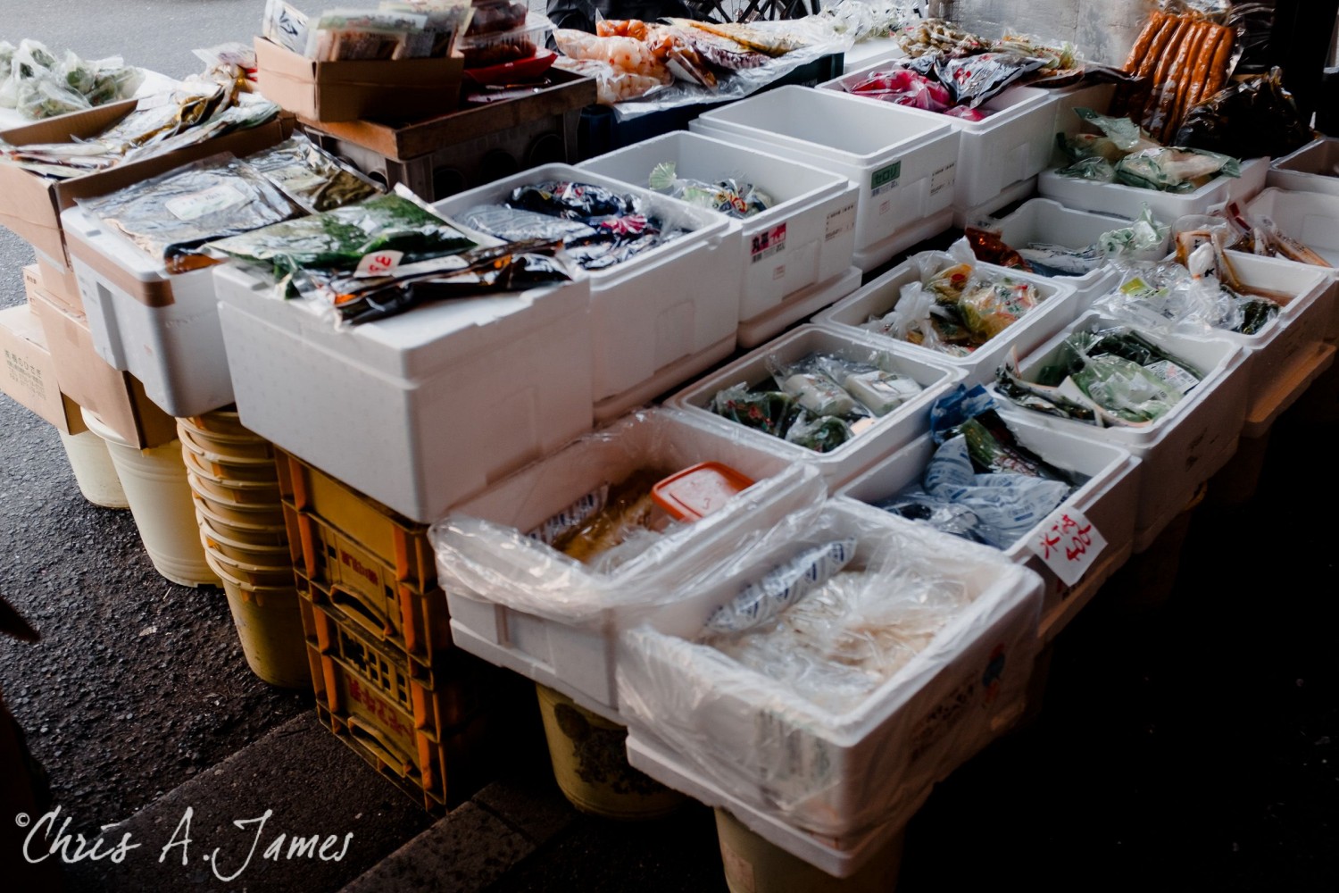 Tokyo - Day 3 - Chris A James