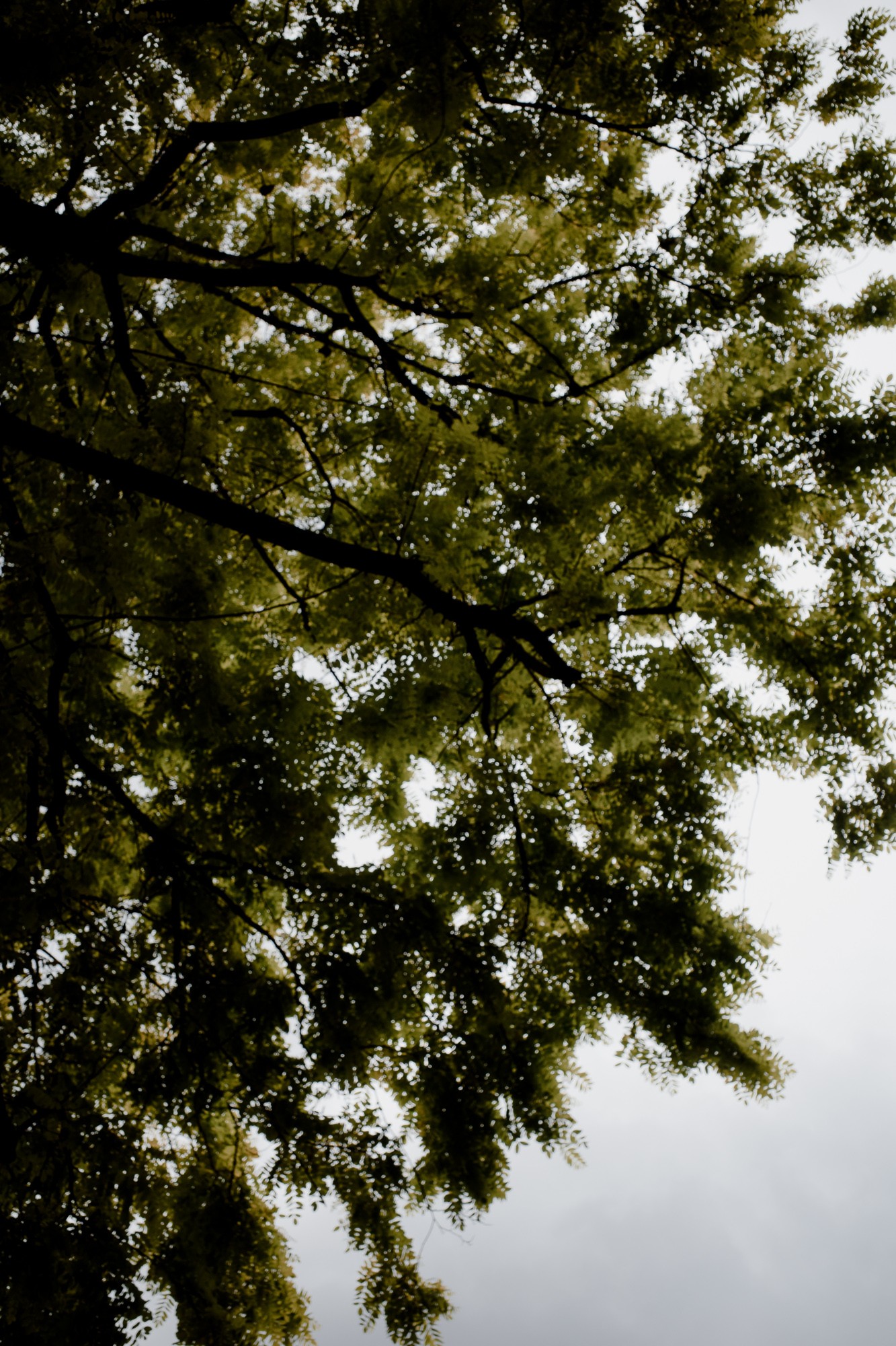 London - Chris A James