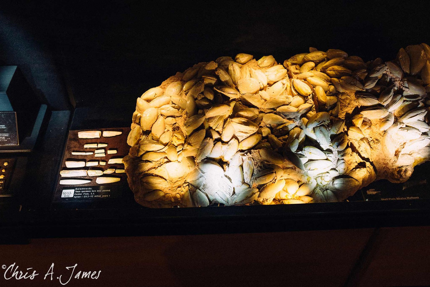 Melbourne - Chris A James