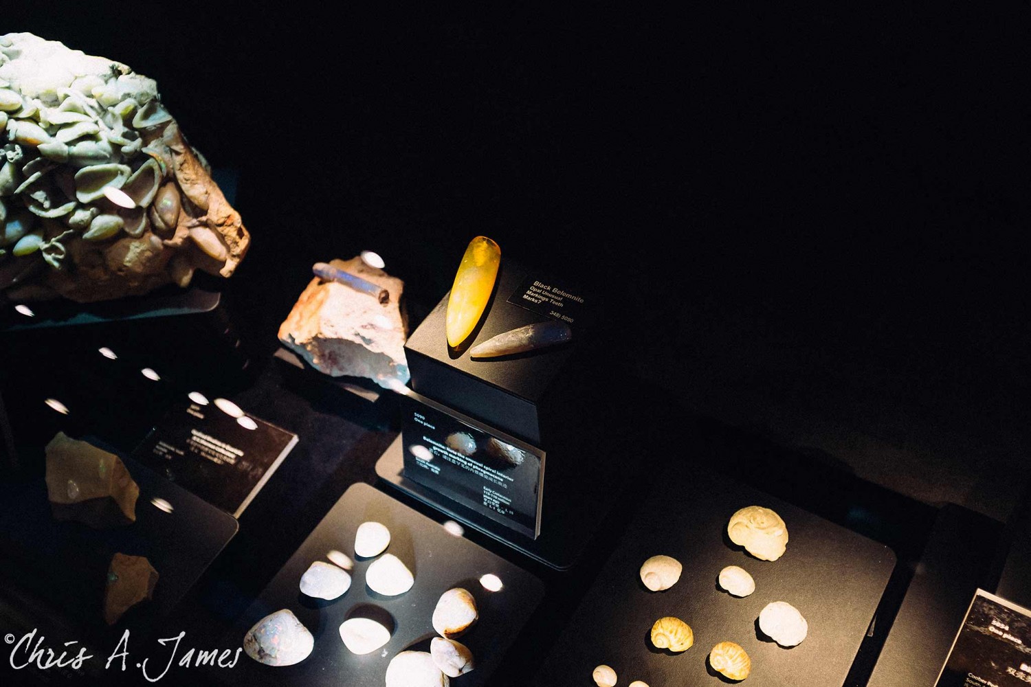 Melbourne - Chris A James