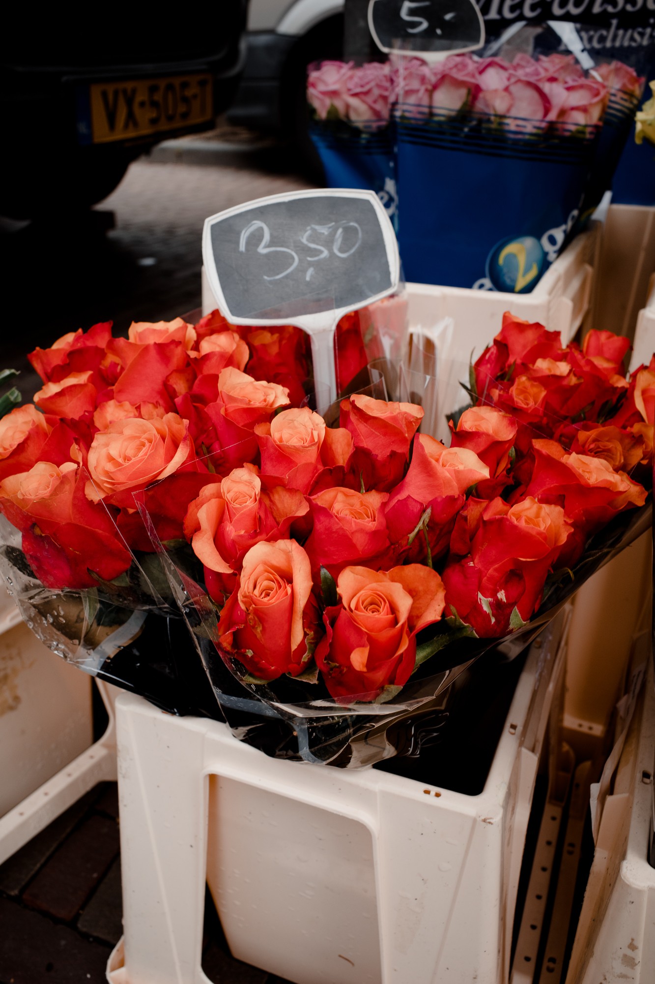 Leiden - Chris A James