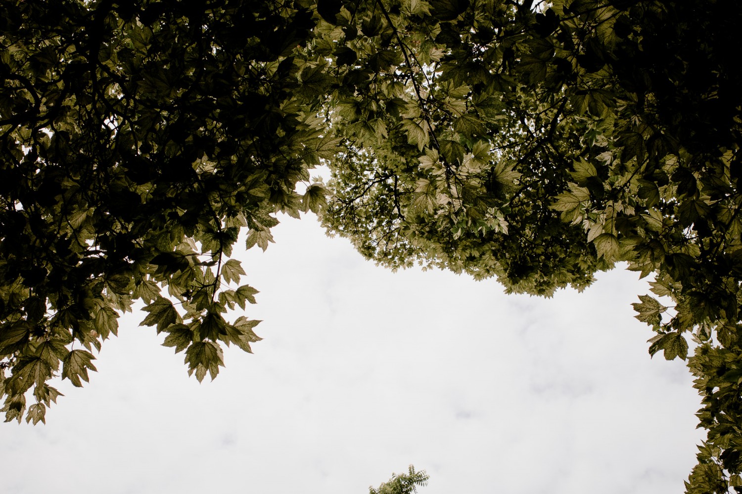 Leiden - Chris A James