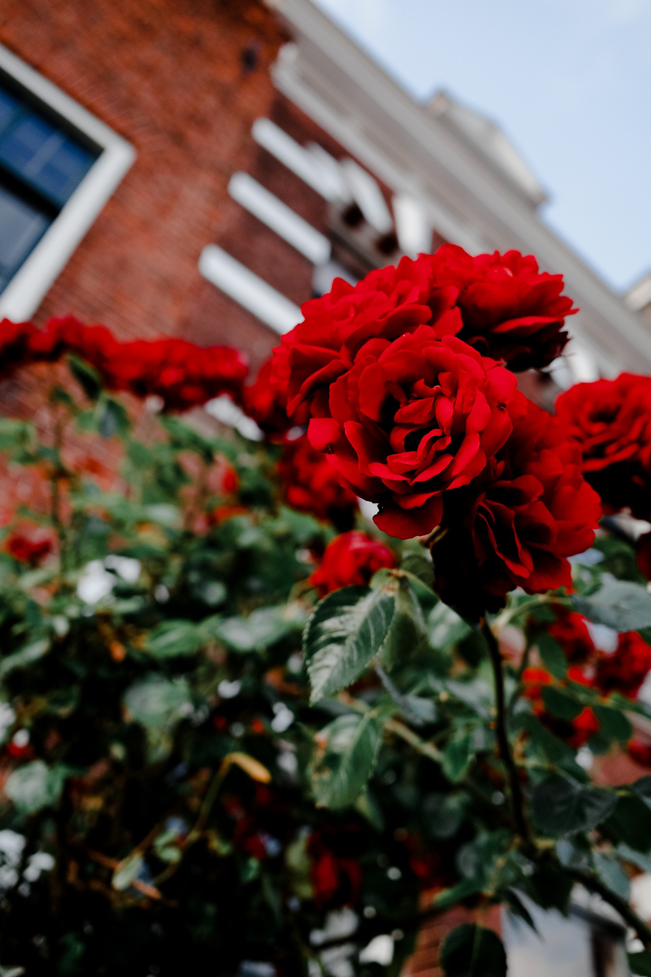 Leiden - Chris A James