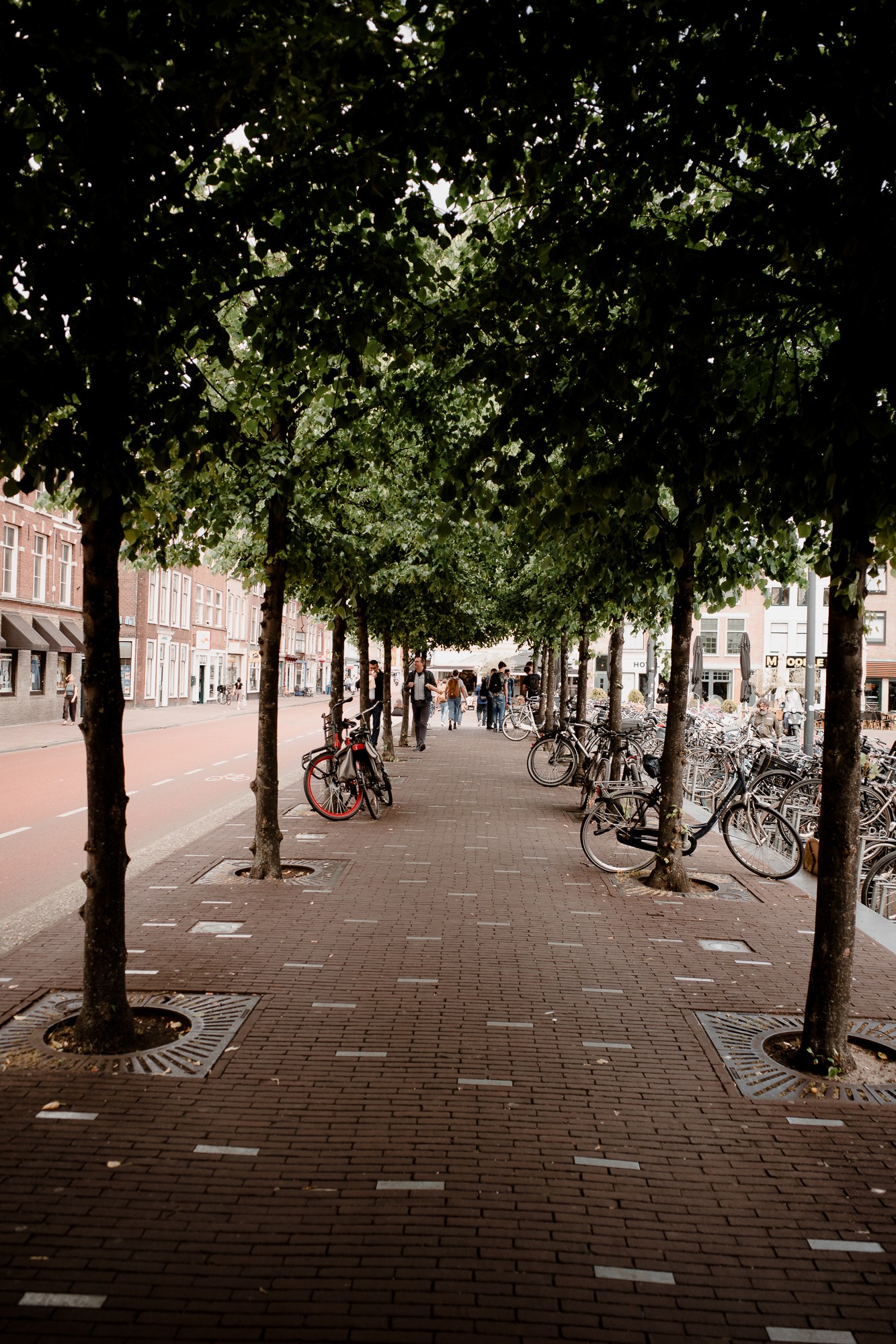 Leiden - Chris A James