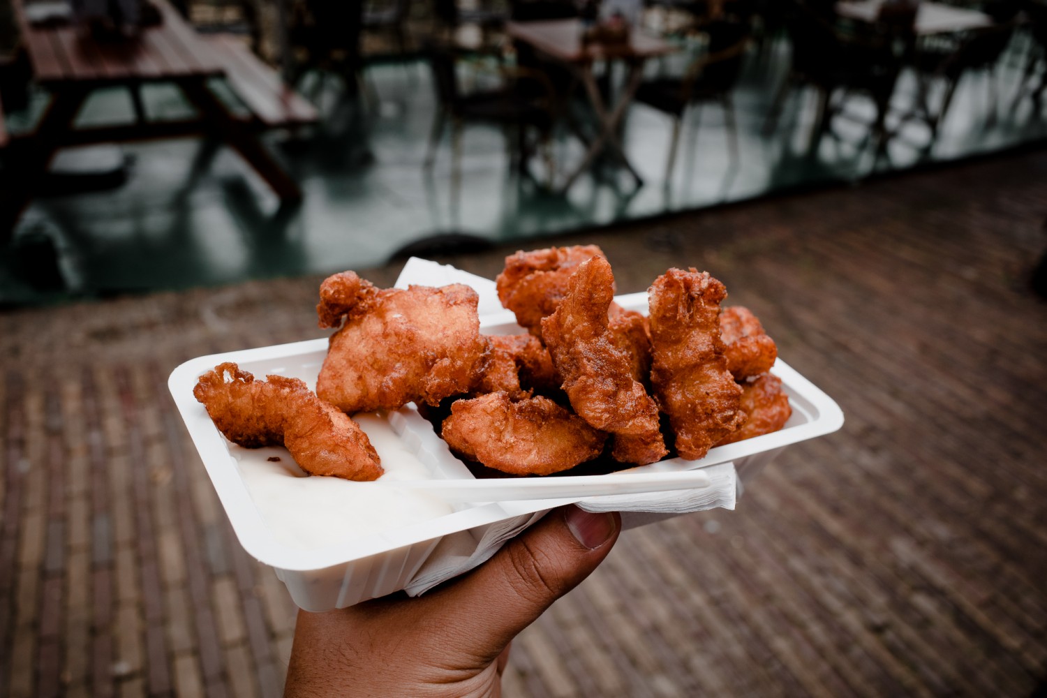 Leiden - Chris A James