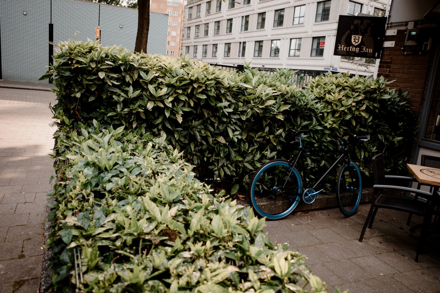 Rotterdam - Chris A James