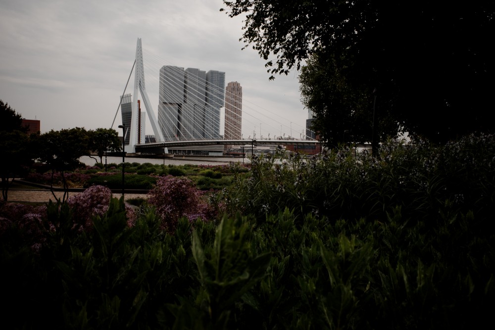 Rotterdam