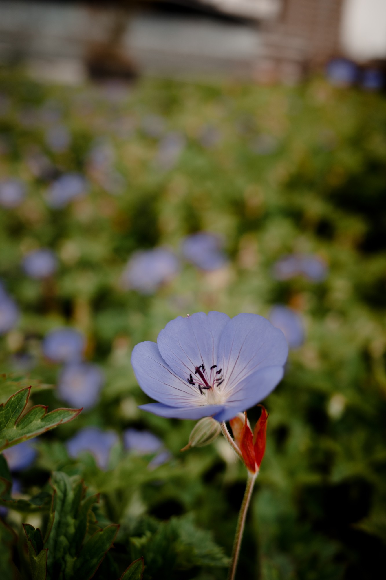 Rotterdam - Chris A James