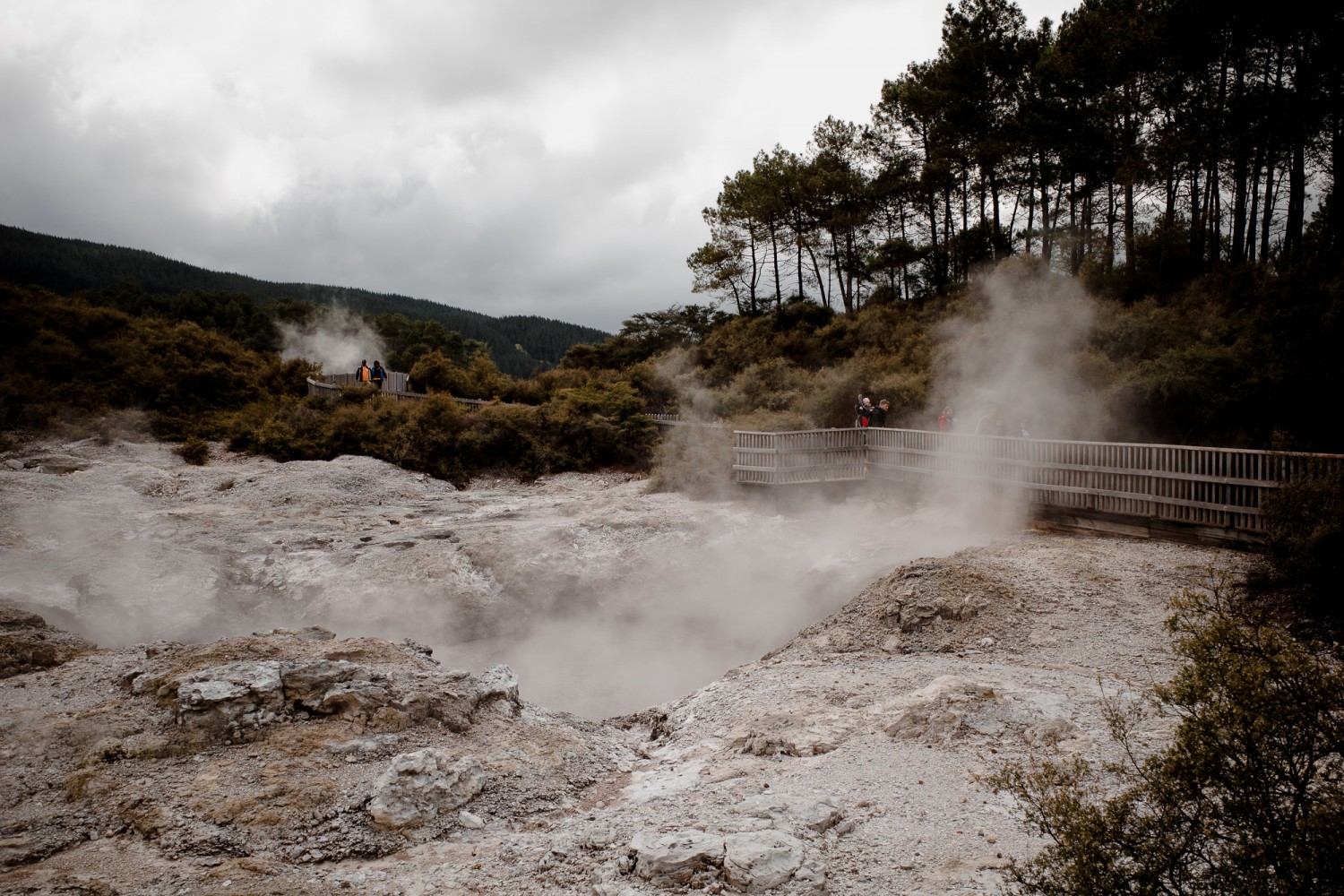 New Zealand - North Island - Chris A James