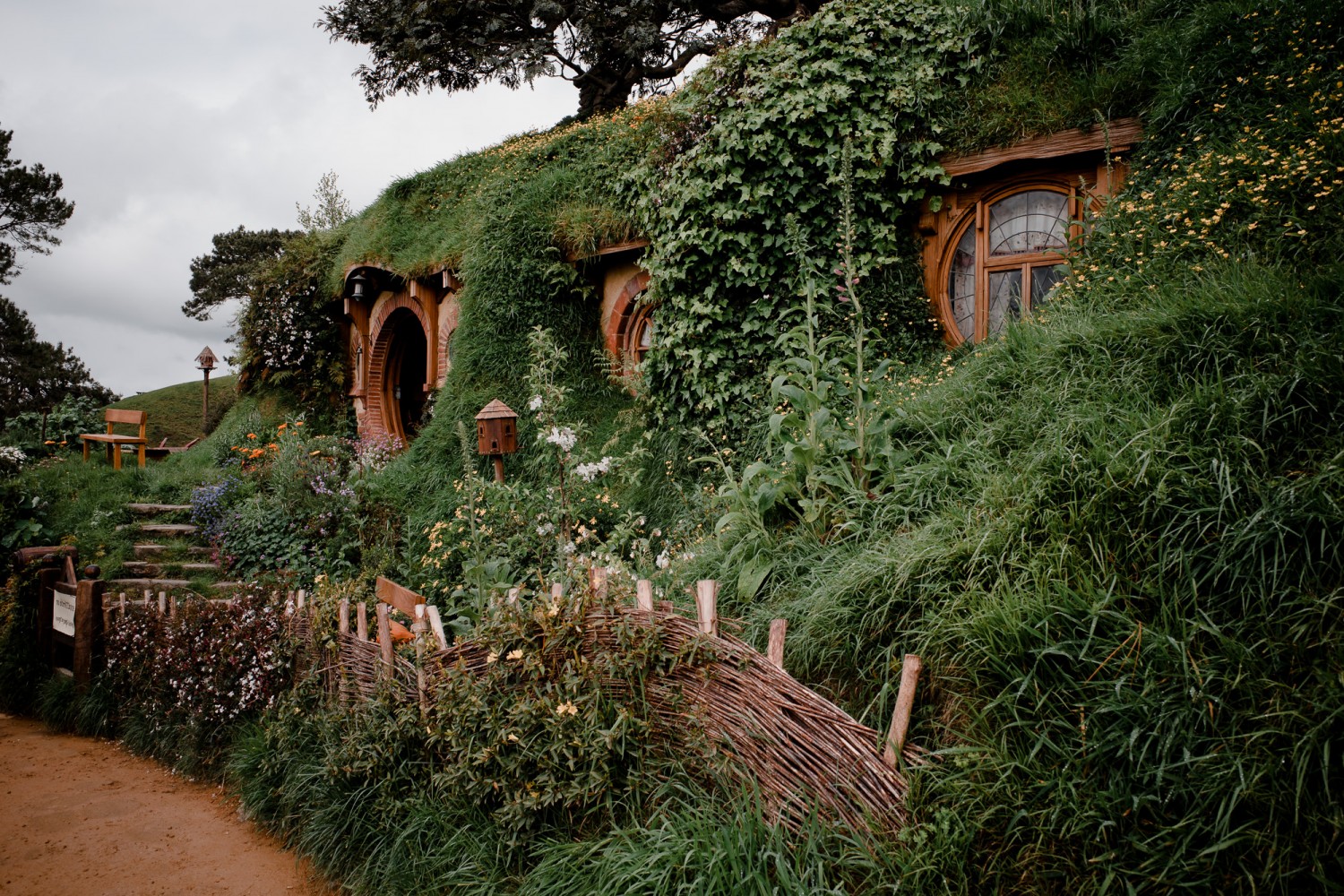 New Zealand - North Island - Chris A James