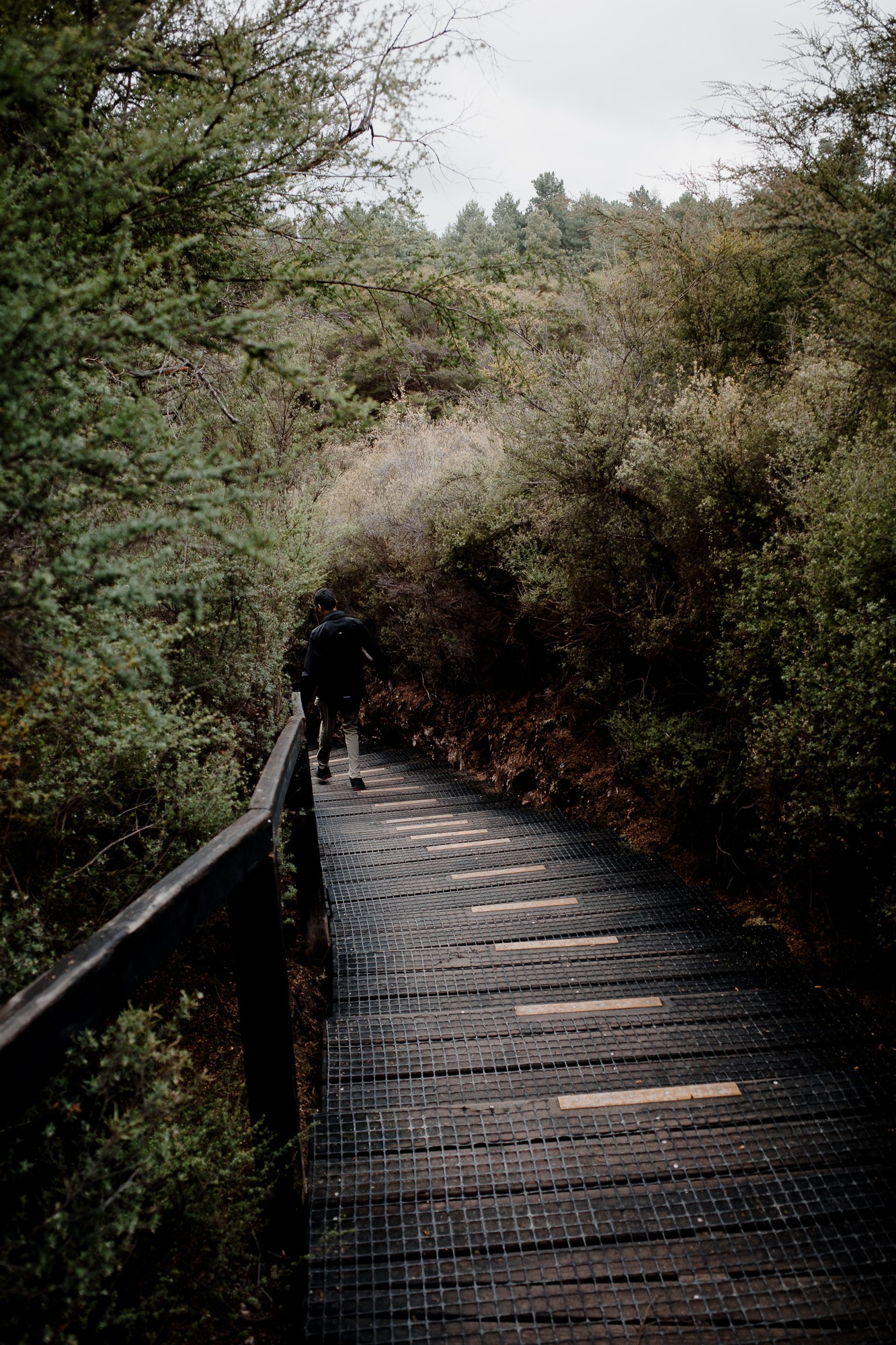 New Zealand - North Island - Chris A James