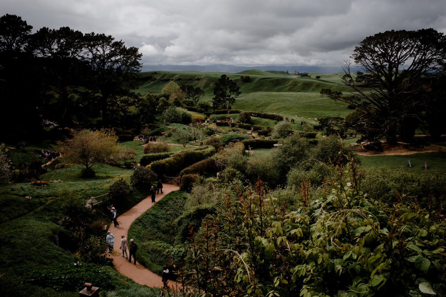 New Zealand - North Island - Chris A James