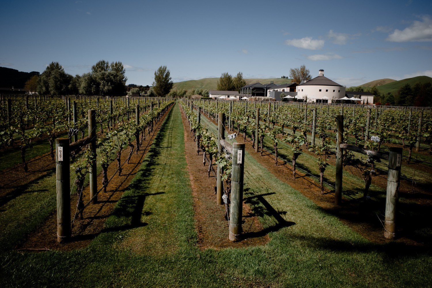 New Zealand - North Island - Chris A James