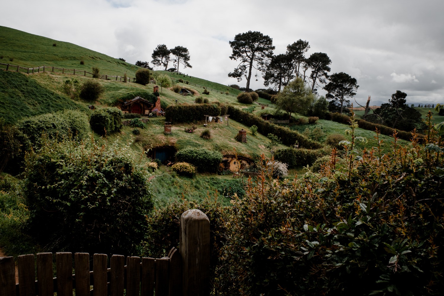 New Zealand - North Island - Chris A James