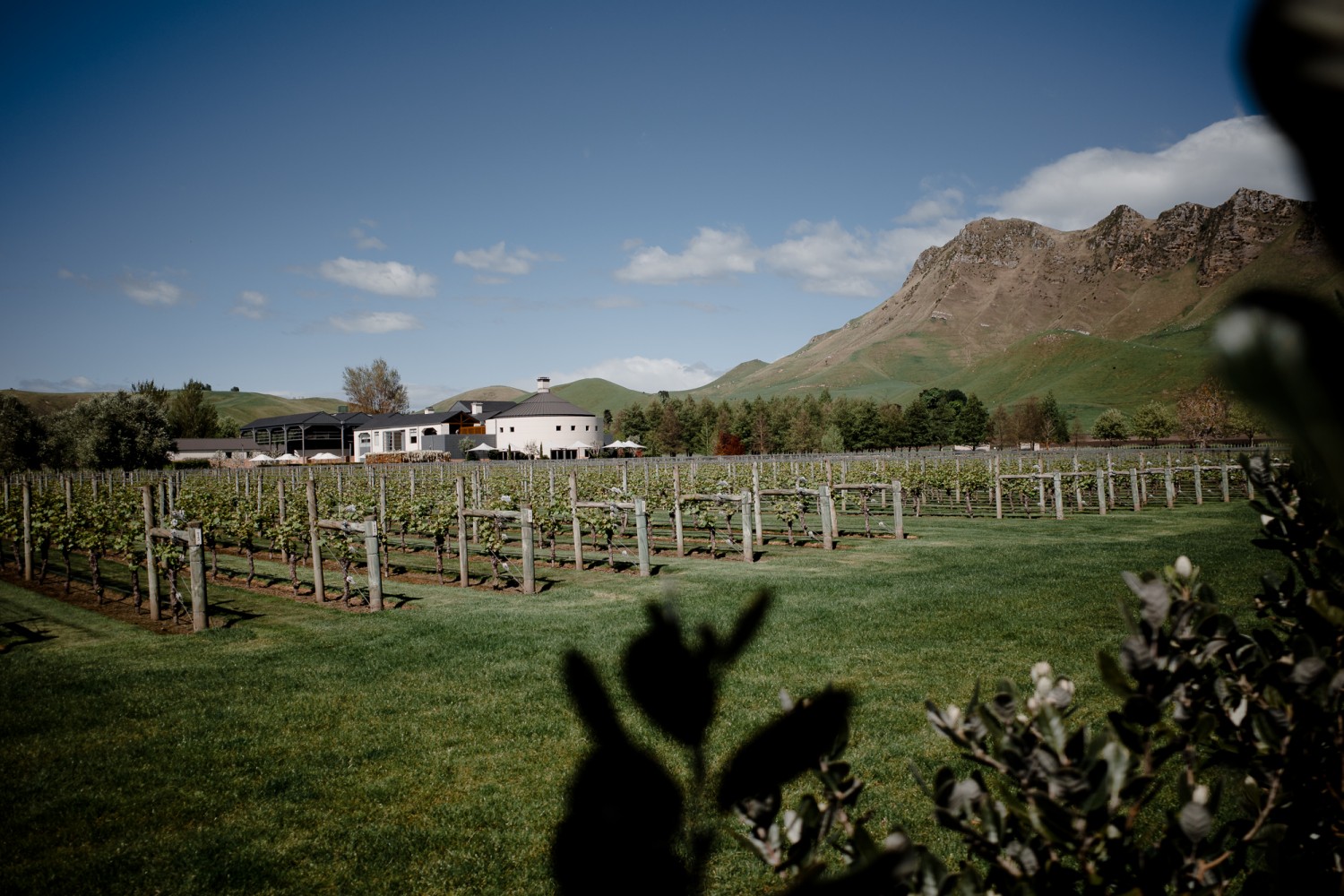 New Zealand - North Island - Chris A James