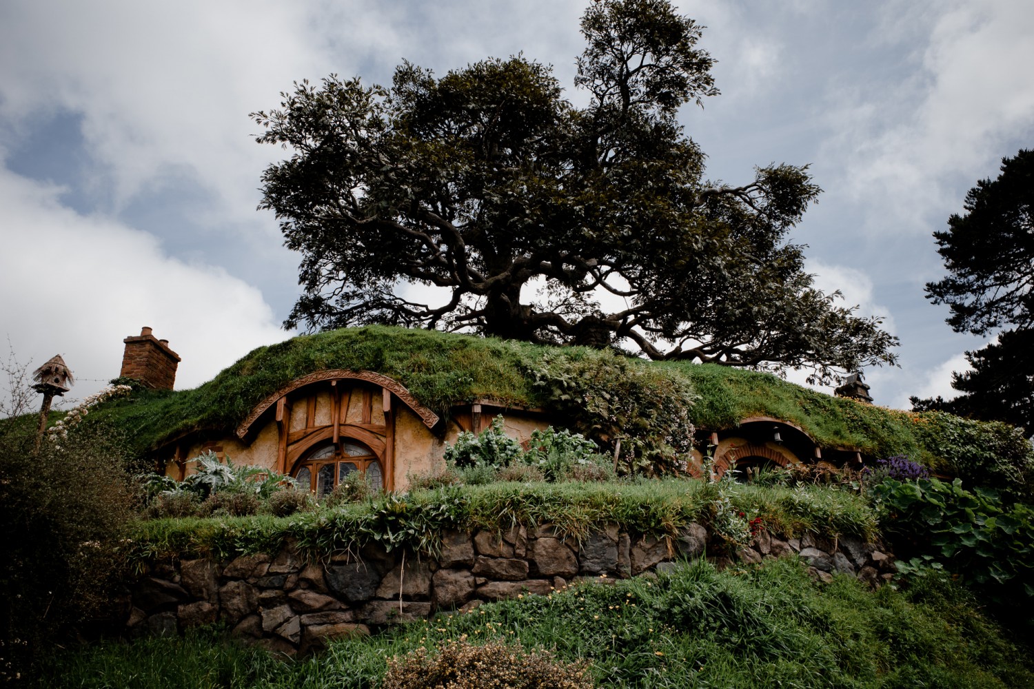 New Zealand - North Island - Chris A James