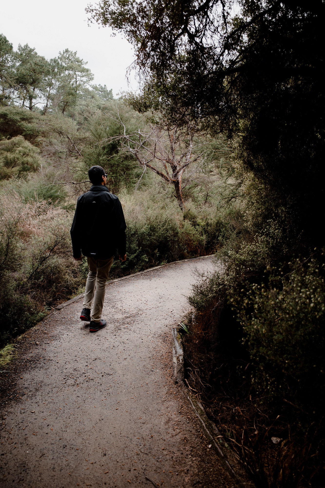 New Zealand - North Island - Chris A James