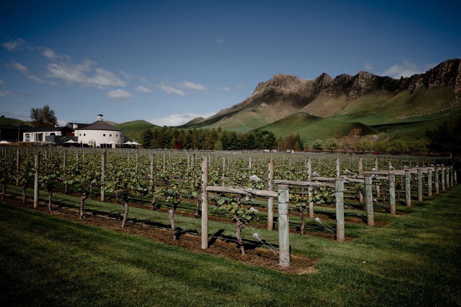 New Zealand - North Island - Chris A James