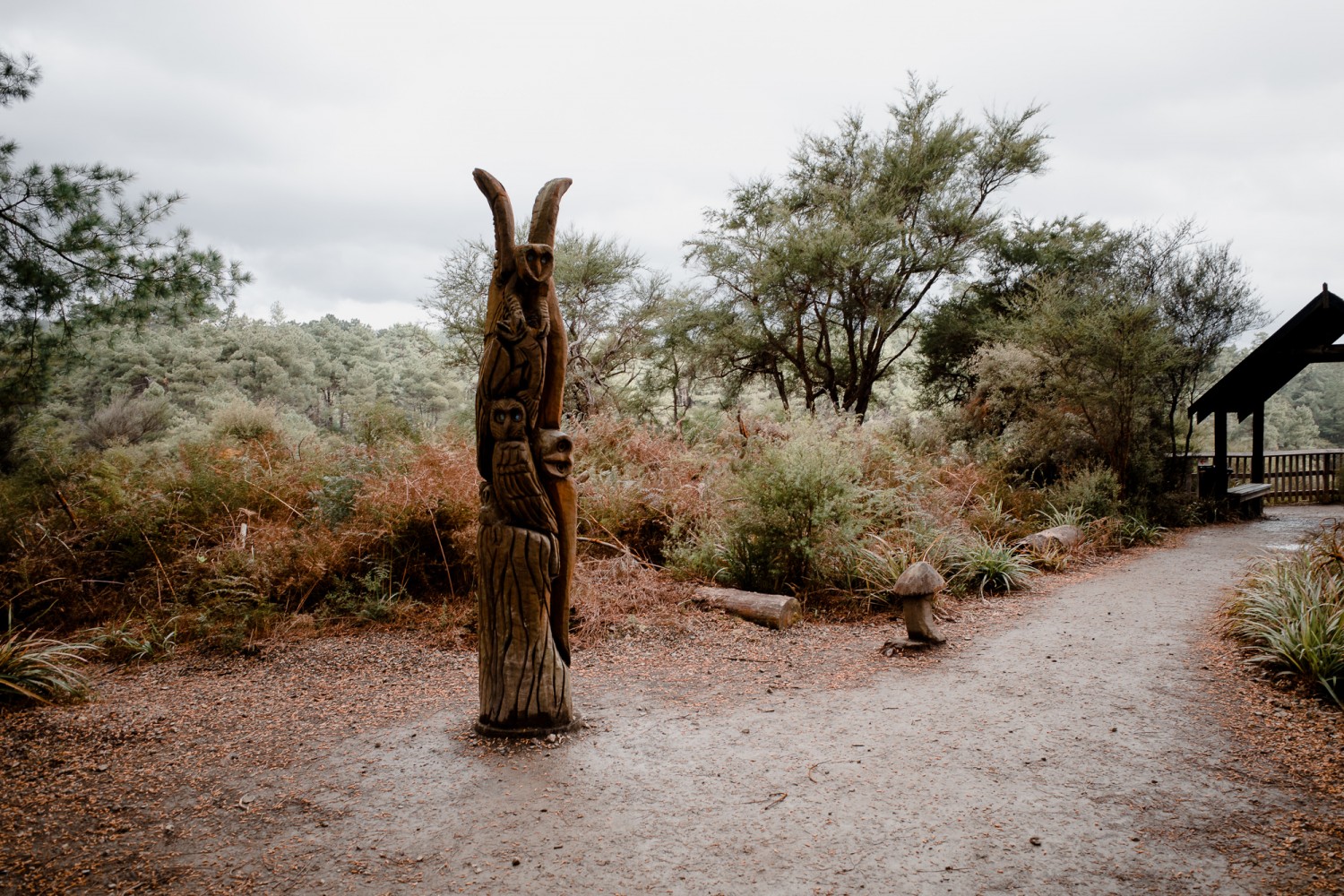 New Zealand - North Island - Chris A James