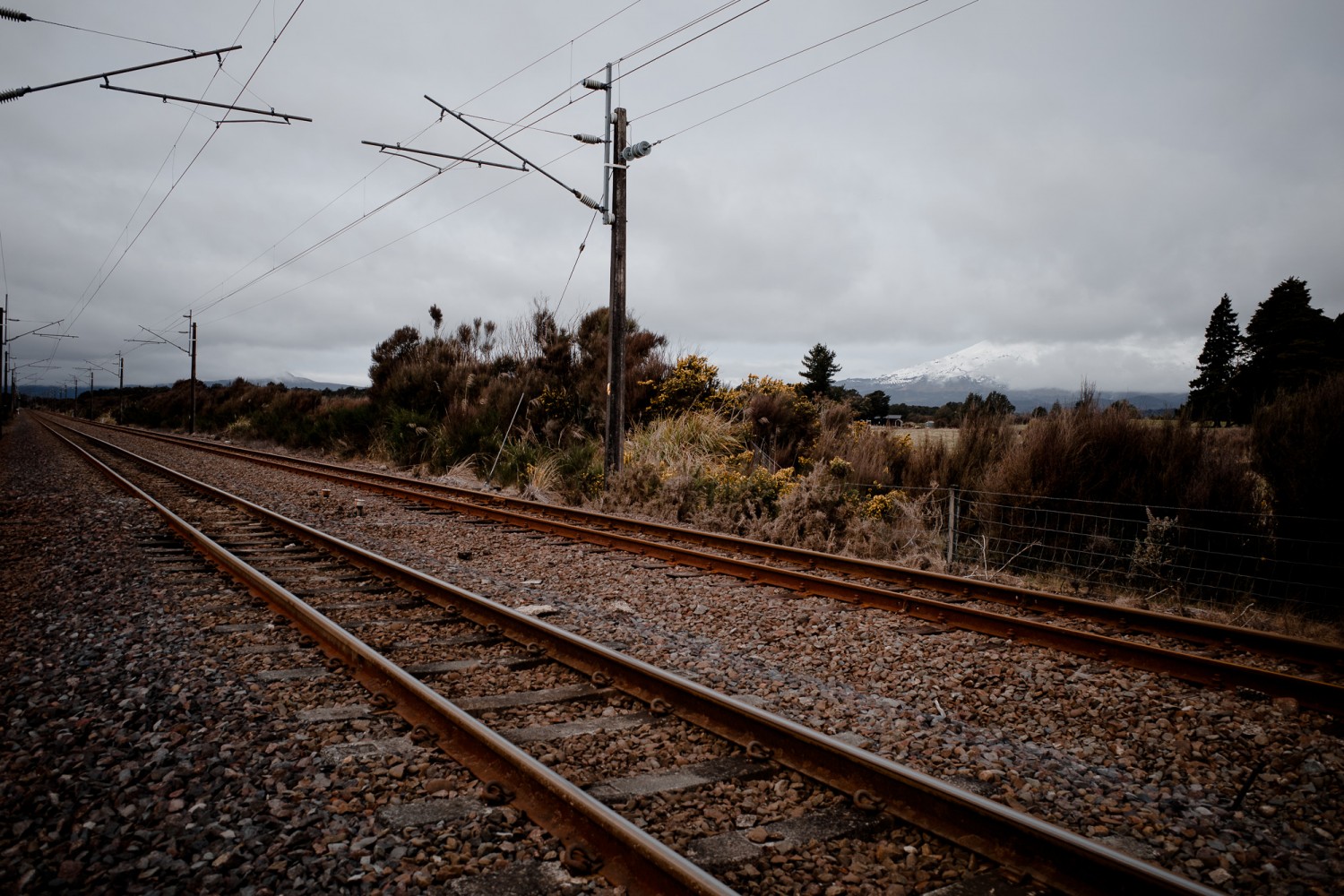 New Zealand - North Island - Chris A James