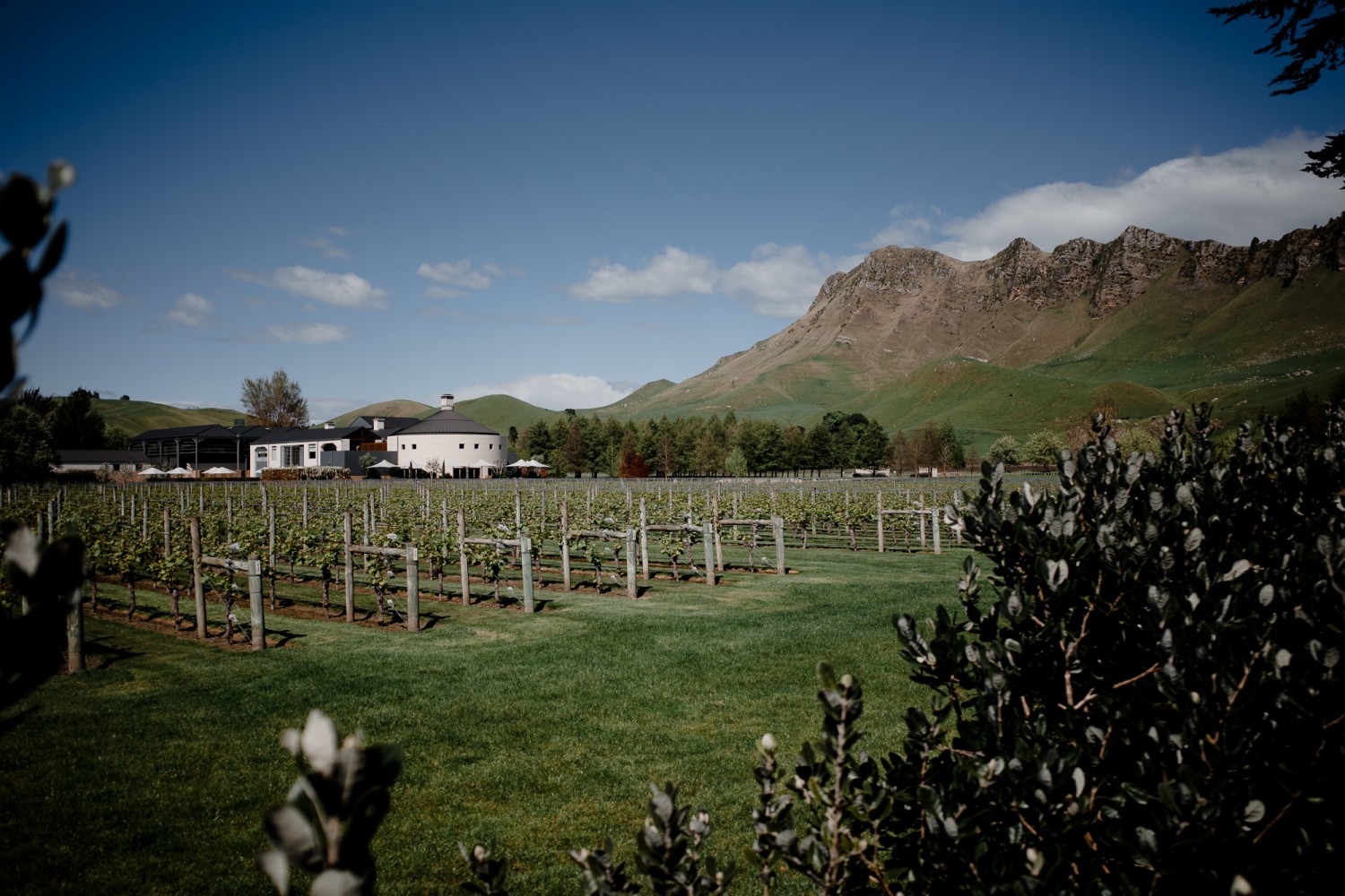 New Zealand - North Island - Chris A James