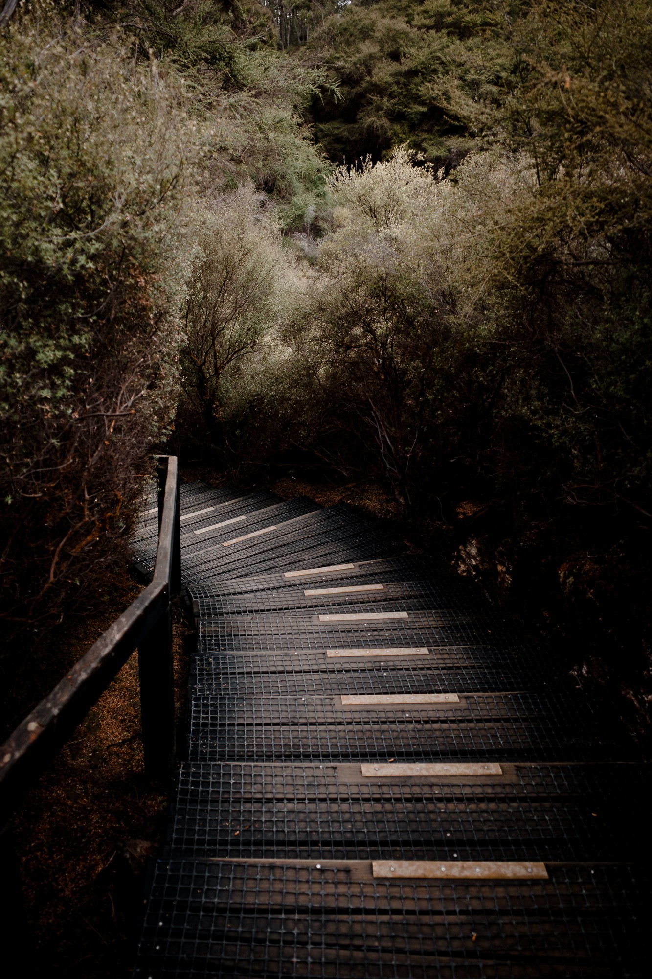 New Zealand - North Island - Chris A James